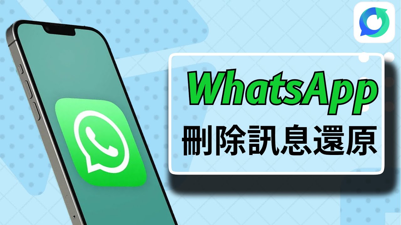 WhatsApp怎么分享文件？