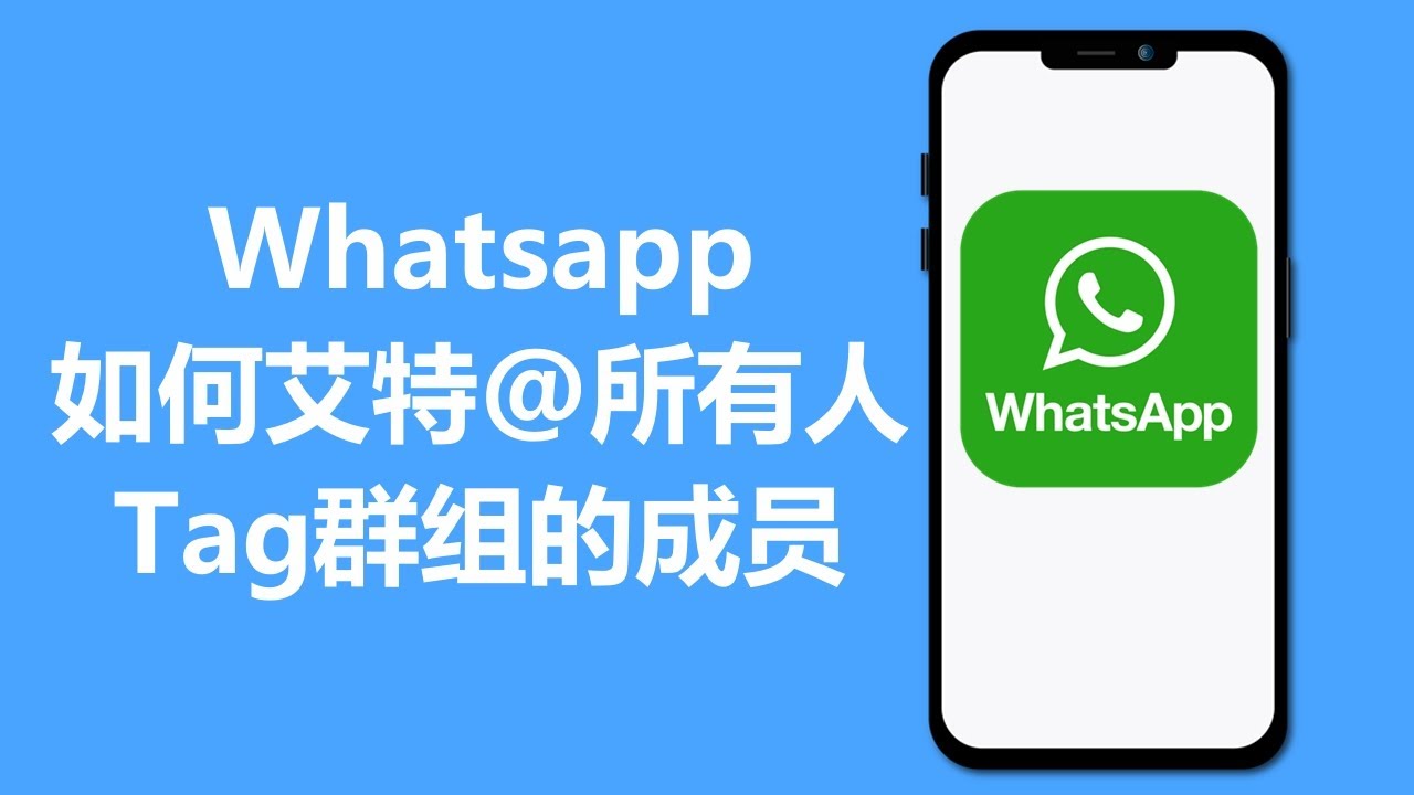 WhatsApp群聊怎么@所有人？