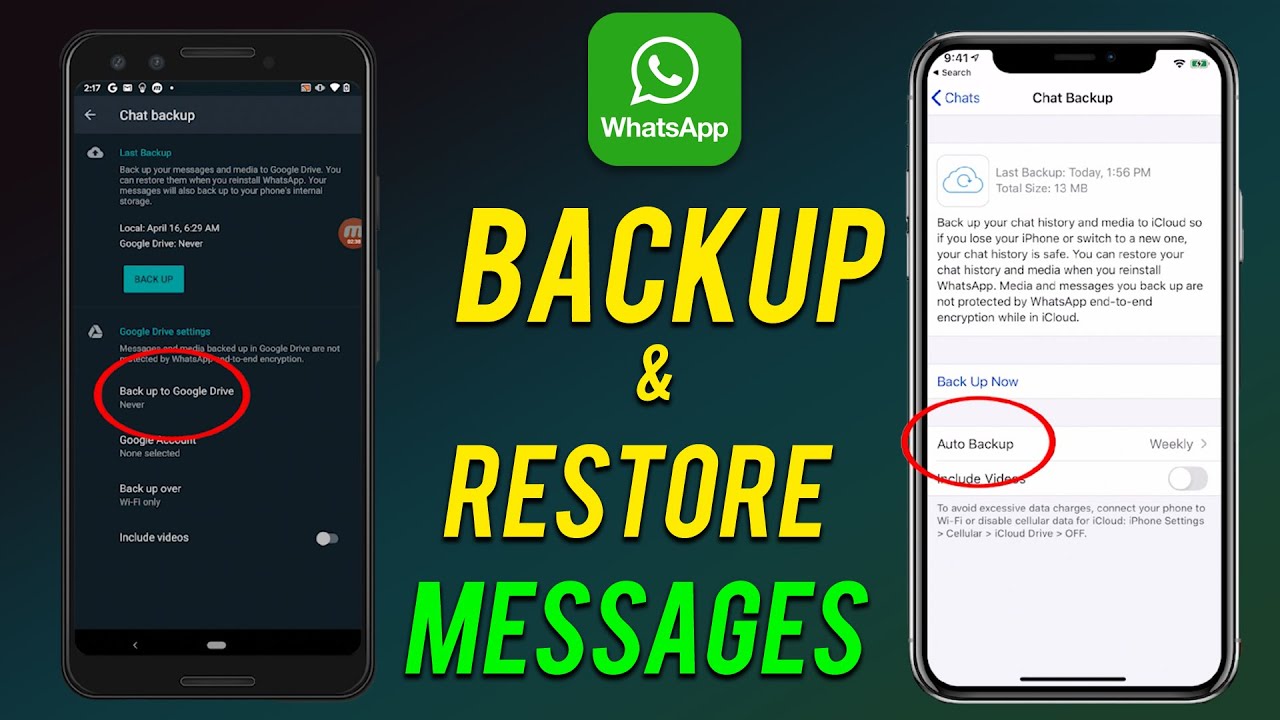 如何back up WhatsApp？